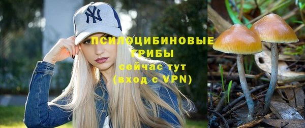 2c-b Волосово