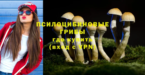 PSILOCYBIN Володарск