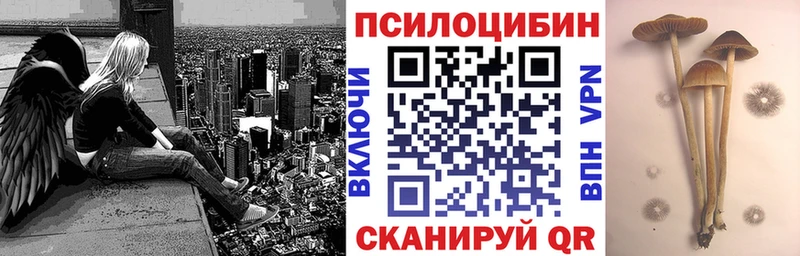 Купить  Константиновск  Псилоцибиновые грибы GOLDEN TEACHER 